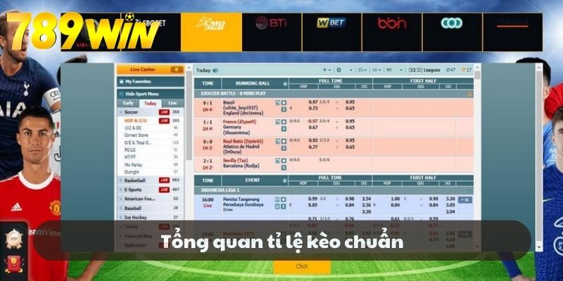 Tổng quan tỉ lệ kèo chuẩn
